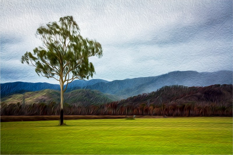 Look Through to the Hills 